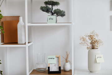 Shelves with various vases with dried flowers, picture frame and green domestic plant with foreign...