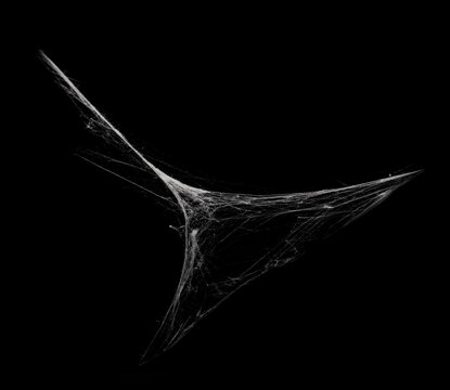 White spiderweb on on black grunge background, cobweb scary frames. Royalty high-quality free stock photo image of Real creepy spider webs silhouette isolated on Spooky Halloween backgrounds