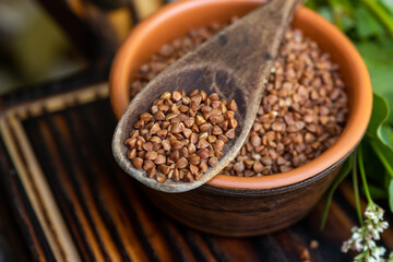 Buckwheat for porridge close-up. grain forage seeds in a brown clay bowl. Dry cereals with dietary fiber. Cereals grown in rural areas.