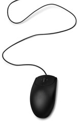 Computer Mouse