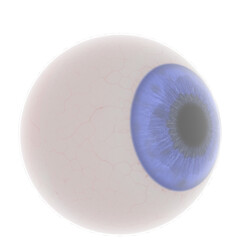 3d rendering illustration of a human eyeball