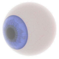 3d rendering illustration of a human eyeball
