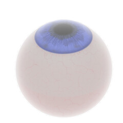 3d rendering illustration of a human eyeball