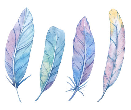 Set of watercolor bright feathers. Separate images on a white background. For decoration, cards, invitations, textiles, t-shirts