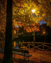 Vertical shot of a scenic autumn park in the evening with a bench and colorful tree