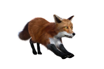 Red Fox stretching 3D render isolated on transparent background