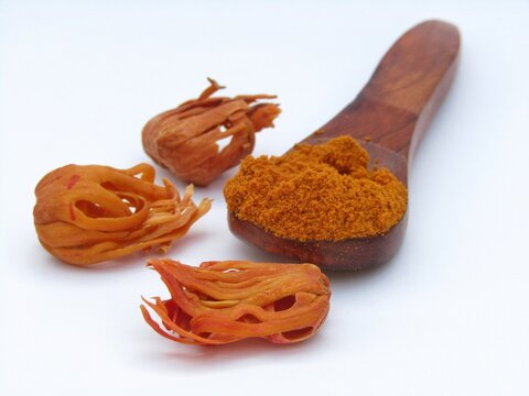 Mace Spice powder on wooden spoon 