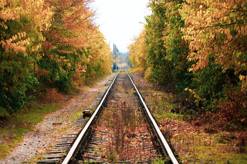 Train track. along the line with a train track with a gorgeous autumn background.