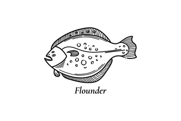 Flatfish. Ink sketch of flounder. Hand drawn fish vector illustration isolated on white background.
