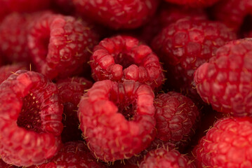 the fresh red raspberry fruit - background or texture