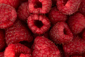 the fresh red raspberry fruit - background or texture