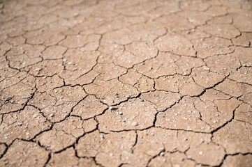 Brown dry ground with cracks