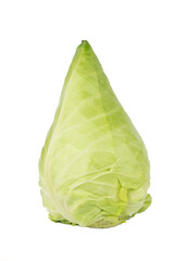the Conehead cabbage (Cone cabbage, Conical cabbage)