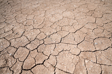 Brown dry ground with cracks