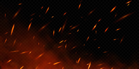 Realistic fire sparks on transparent background. Vector illustration of burning particles and smoke © Vector_Artist