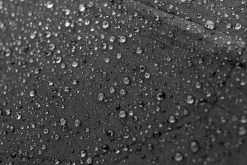 Surface of a black umbrella with large raindrops, close-up
