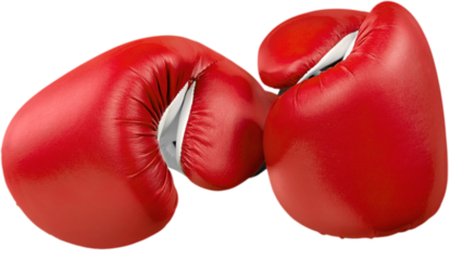 A pair of boxing gloves Isolated on Transparent Background