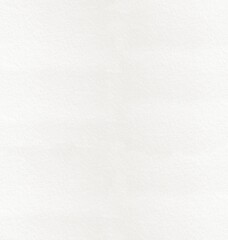 Fondo con detalle de hoja en blanco con suave textura rugosa