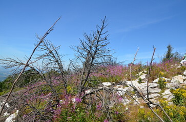 colorful landscape at Mount Jested Liberec