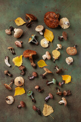 Mushroom set of various forest poisonous mushrooms. Top view