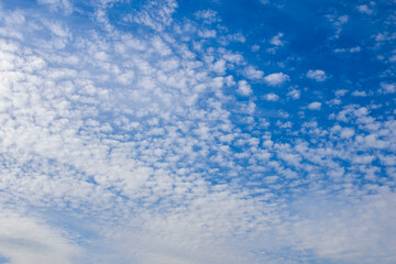 Naklejka na ściany i meble Cirrus clouds in a blue sky