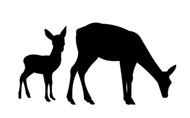 Deer female with cub. Wild animals. Silhouette figures. Isolated on white background. Vector.