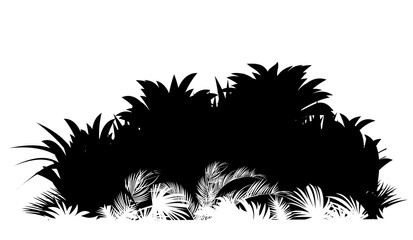 High grass. Jungle rainforest. Nature landscape silhouette. Dense tropical thickets. Isolated on white background. Vector.