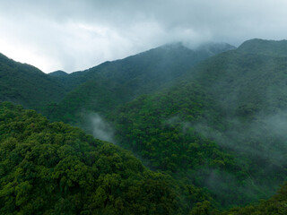 Aerial view of beautiful forest mountain landscape