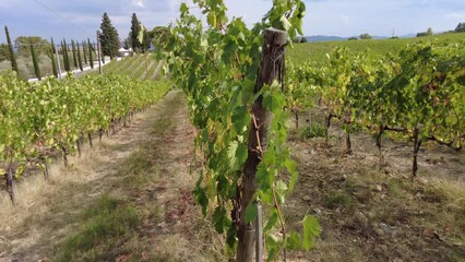 Panoramic terraced vineyards in winegrowing town Montalcino, home of brunello wine of Montalcino. Italian countryside and Tuscan-Emilian apennines. Heritage vineyards of Italy wine region Tuscany.