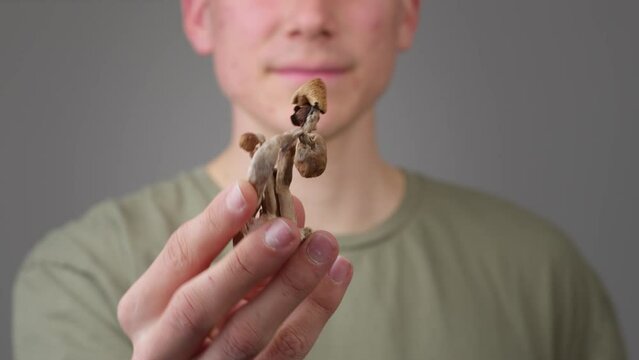 Psilocybin psychedelic microdosing. Magic Mushrooms being eaten by a casual man.