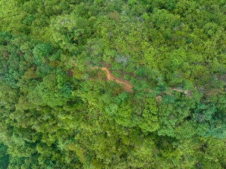 Aerial view of beautiful forest mountain landscape
