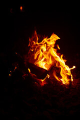 Fototapeta na wymiar flames from a fire in the dark