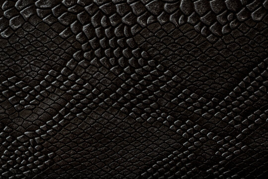 Beautiful dark gray python skin, reptile skin texture, snake skin close-up as a background.