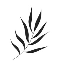 Black palm leaves isoted on white background. Black silhouette vector illustration.