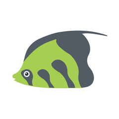 Angle Fish PNG Format With Transparent Background