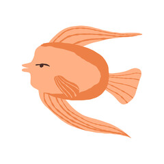 Angle Fish PNG Format With Transparent Background