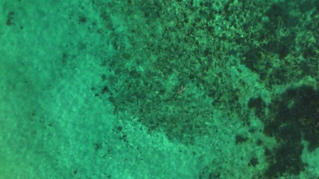 Aerial view above a woman snorkling in turquoise waters of Cancun, Mexico - cenital, drone shot