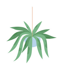 Fototapeta na wymiar Suspended decorative houseplant semi flat color vector object. Editable element. Full sized item on white. Home garden simple cartoon style illustration for web graphic design and animation