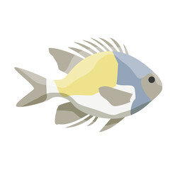 Angle Fish PNG Format With Transparent Background