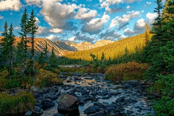 Fototapeta premium View of a rocky stream in nature in Colorado, USA