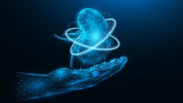 Polygonal hand and kidney futuristic motion graphics. Organ donation concept. Medical animation loop video.