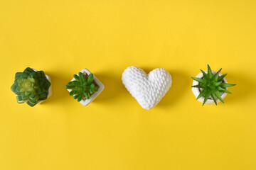 Three succulents and a white knitted heart on a yellow background