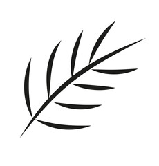 Gałązka © Monika Janiak-Klicha