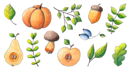 Autumn illustration: pumpkins, leaves, mushrooms. A set of watercolor illustrations on a white background.