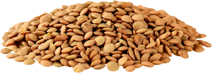Lentils - Isolated