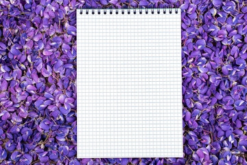 white sheet of paper in purple lupin colors, copy space