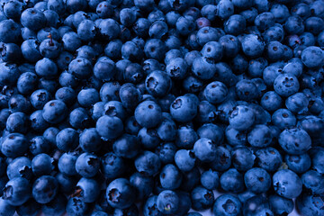 Fresh blueberry background. Texture blueberry berries close up.