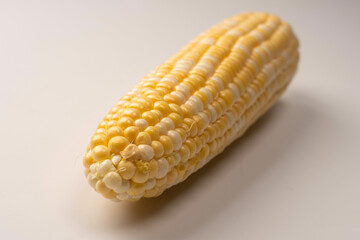 Yellow corn isolated on white background. Copyspace.