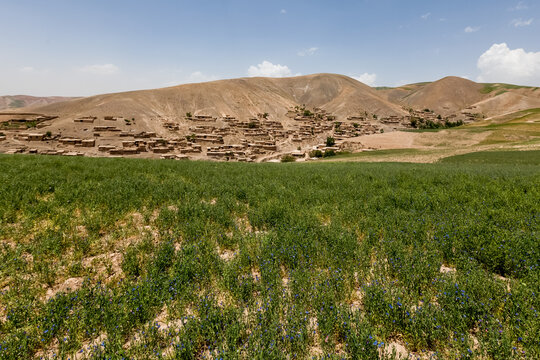 Ghazni Bilder Durchsuchen 305 Archivfotos, und Videos