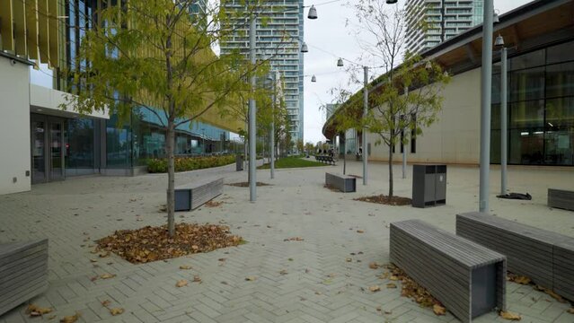 Walking between buildings at Vaughan Metropolitan Centre in Ontario, Canada. Empty park with fallen leaves on ground in autumn. 
